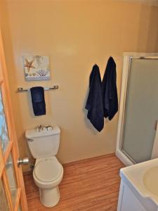 FREELAND_UNIT1_MasterBathBirdEntry_TolietShwrSink_DSCF1863.jpg